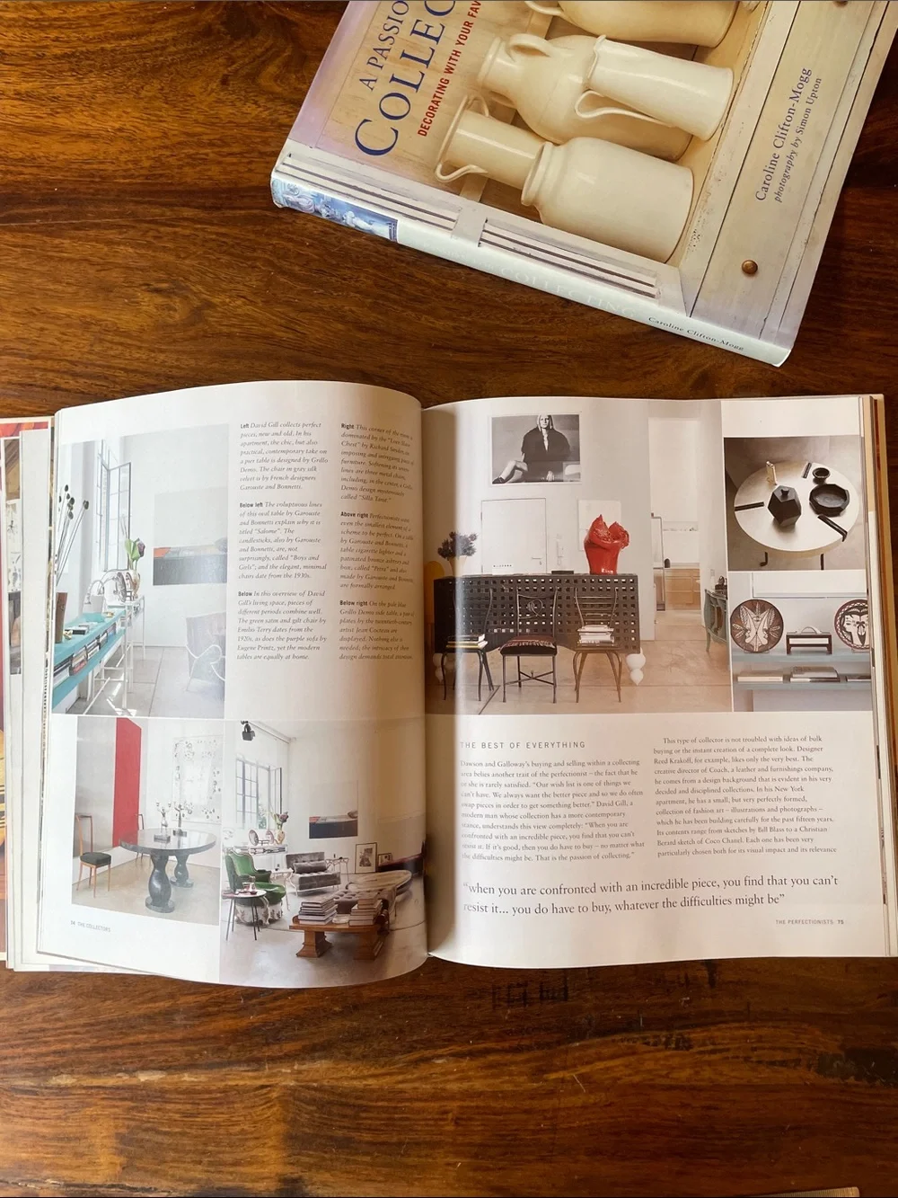 A Passion for Collecting by Caroline Clifton-Mogg Hardcover Book
